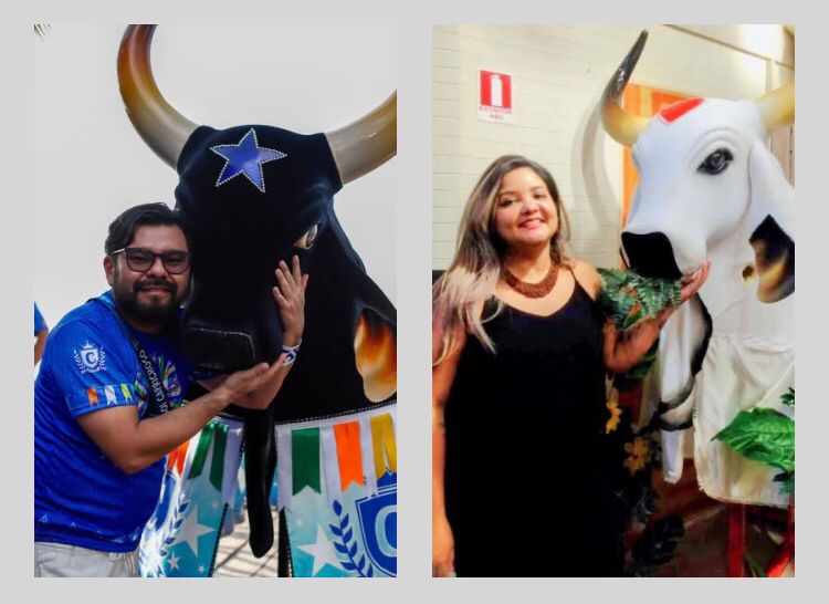 A arte em Parintins e a força da cultura popular